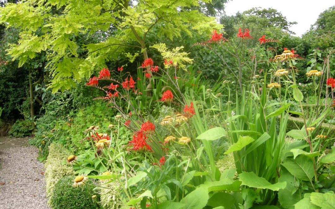Plant Sale 2022